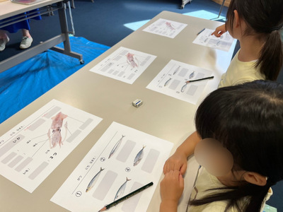 【初級コース／90分】食育クッキング（チケット2枚消費)