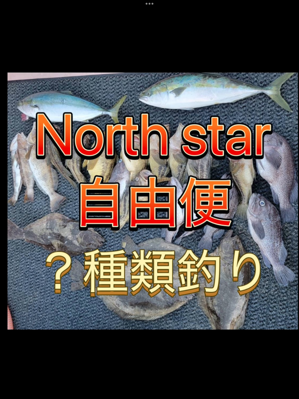自由便　North star