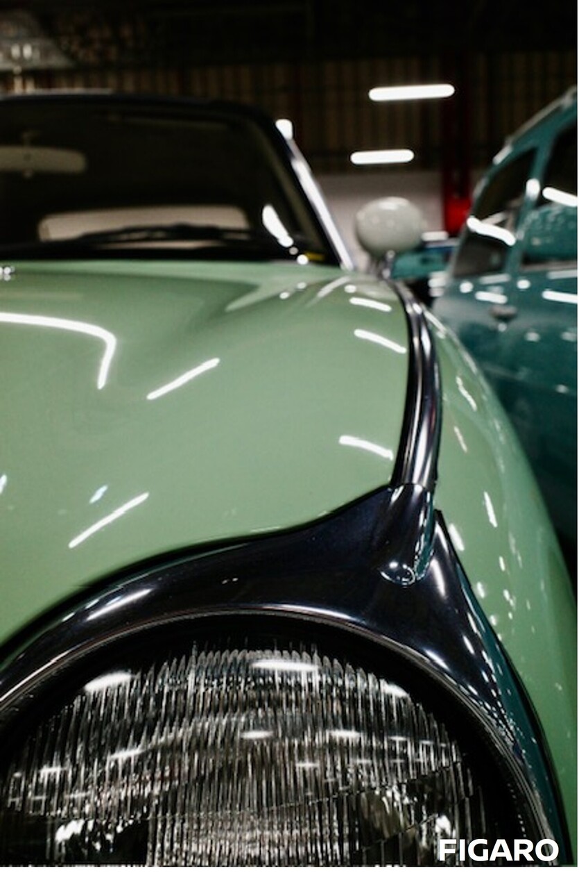 ５月見学会【Heritage Collection Tour in May.】