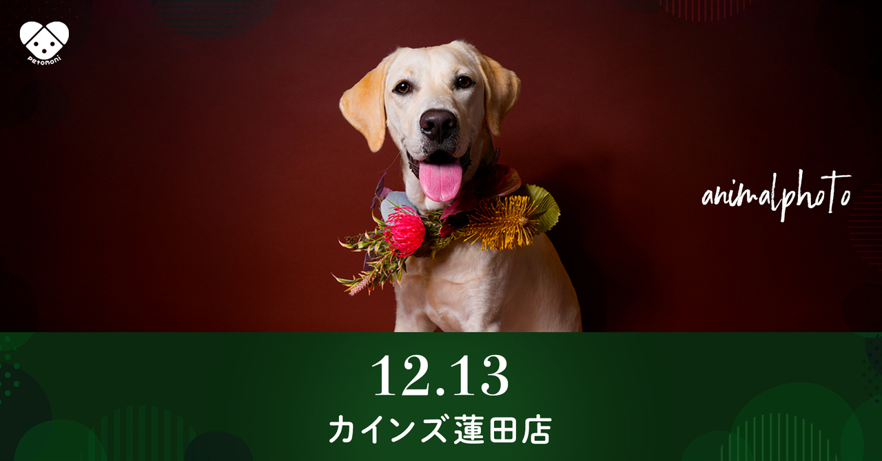 埼玉県【カインズ蓮田店】2025年12月13日（土）