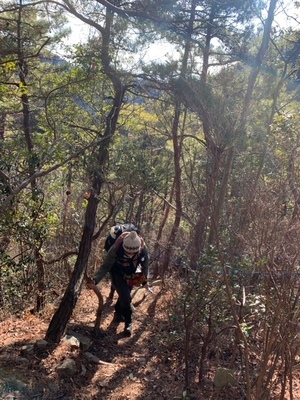 ステップアップ摩耶