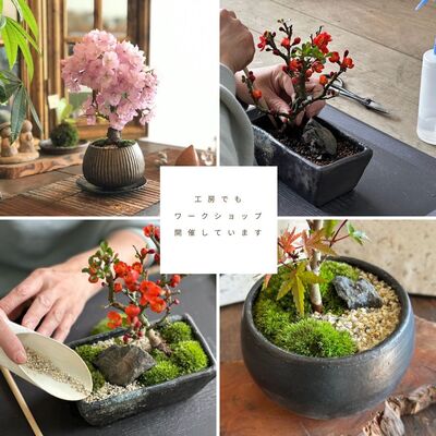 岐阜・揖斐川】色々お好きな情景盆栽作れます！工房でのワークショップ