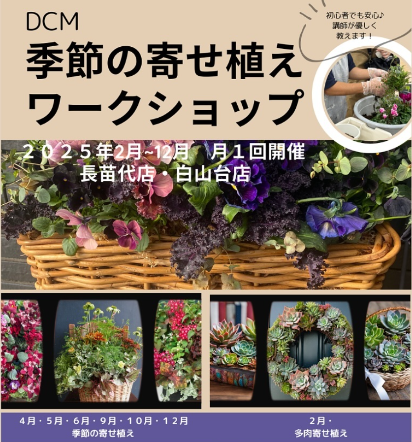 DCM寄せ植えワークショップ予約