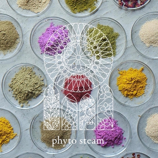 フィトスチーム60分