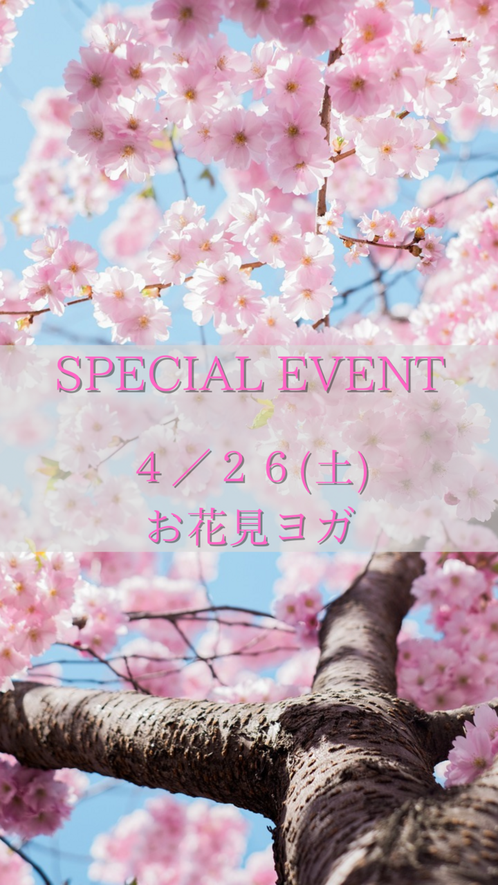 EXPERIENCE　お花見ヨガ　～春の風を感じる～