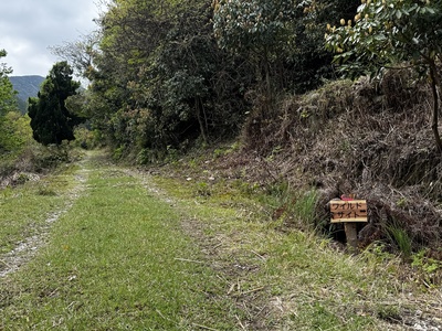 NGS野営場（ワイルドサイト）