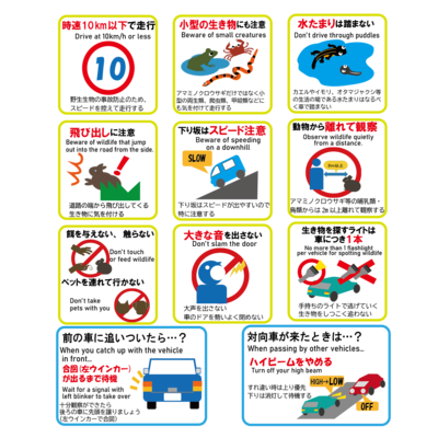 住用町住民優先枠（令和8年度ゴールデンウィーク）