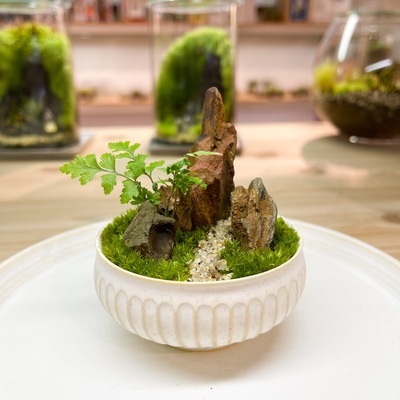 【 阪急うめだ本店 】＜応用編＞洞穴テラリウム探窟コース　Feel The Garden