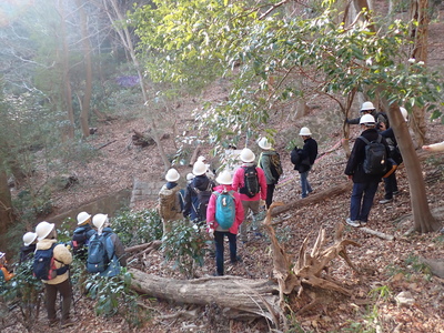 旧摩耶観光ホテル×治山遺構ツーリズム2025