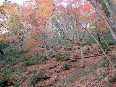旧摩耶観光ホテル×治山遺構ツーリズム2025