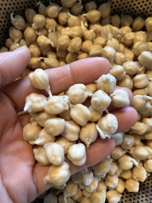 米粉クロワッサン実習レッスン｜発芽ひよこ豆フムス＆テンペ発酵ランチ付き