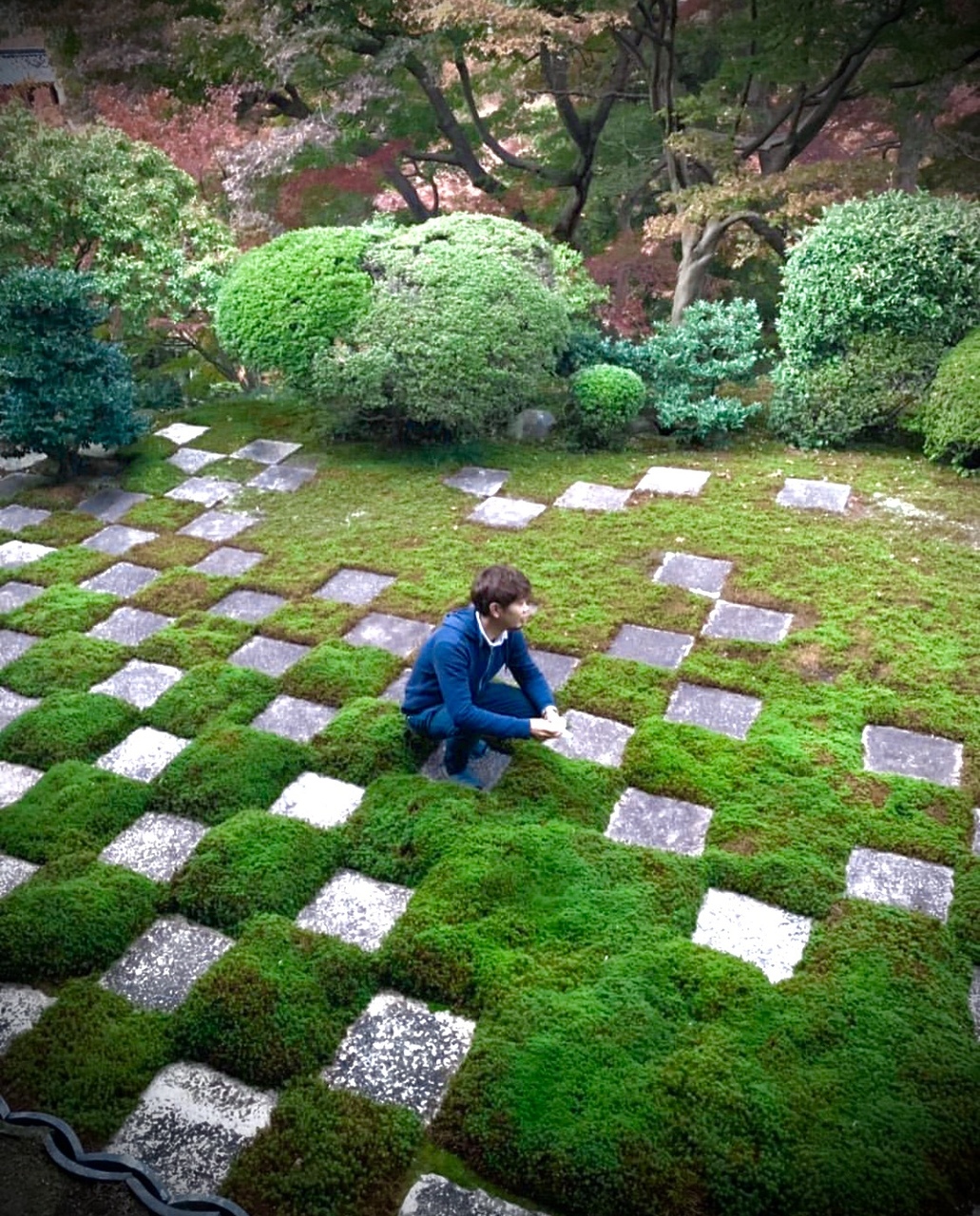 【大型　糸魚川真柏盆栽】　　　⭕生息地景観再現、美品❗ 松坂屋名古屋店 】『糸魚川真柏を植栽した硝景作り』<moss-connect>