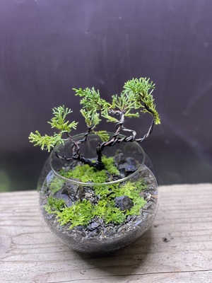 松坂屋名古屋店 】『糸魚川真柏を植栽した硝景作り』<moss-connect>