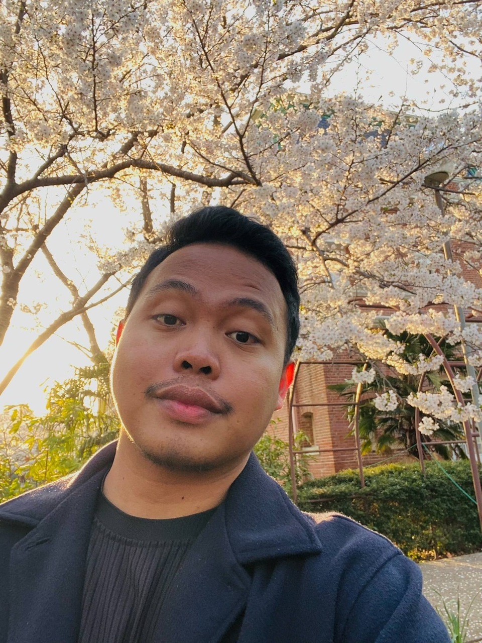 トミー先生（Tommy Detros）