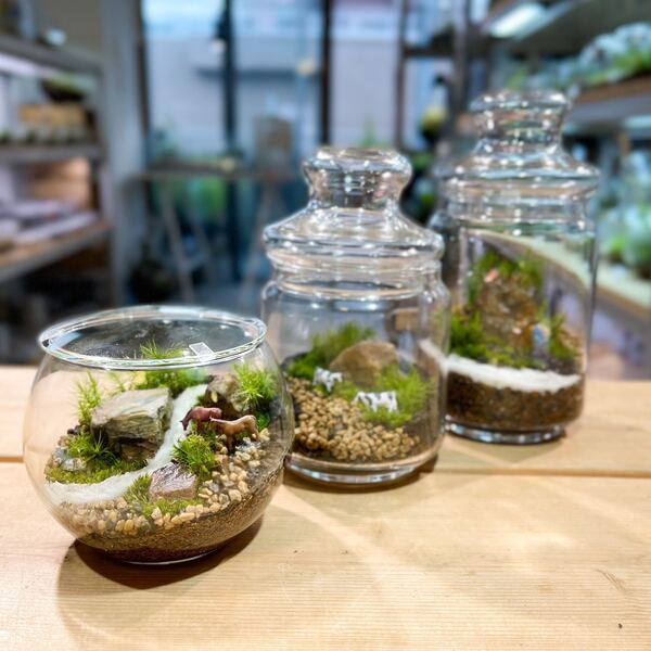 苔テラリウム ロボット兵 シングル、ダブル、トリプルセット心癒す