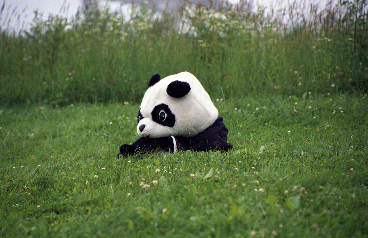 【オンライン】ヒプノセラピー　セッション　2時間