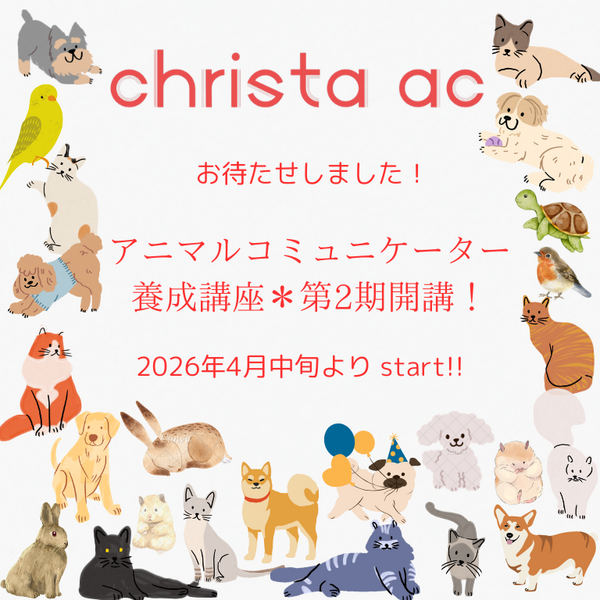 アニマルコミュニケーター養成講座＊第二期生募集説明会
