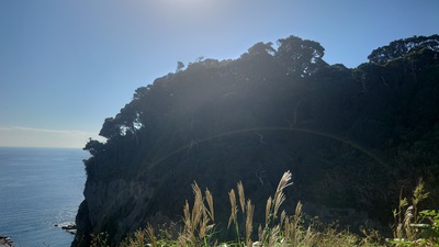 1/4（日）友歩き参拝　江の島ぐるり初詣昇殿参拝　