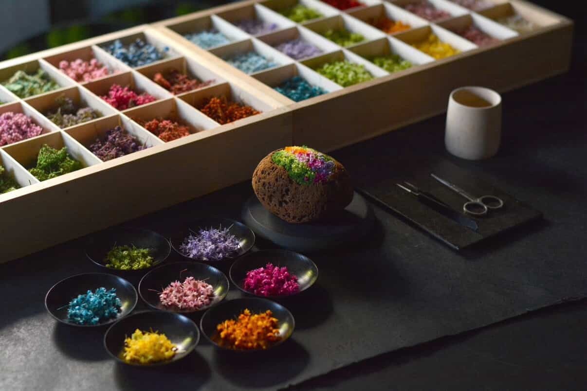 【 3/29(日)】美術作家・花道家亀井紀彦氏によるアートオブジェ製作