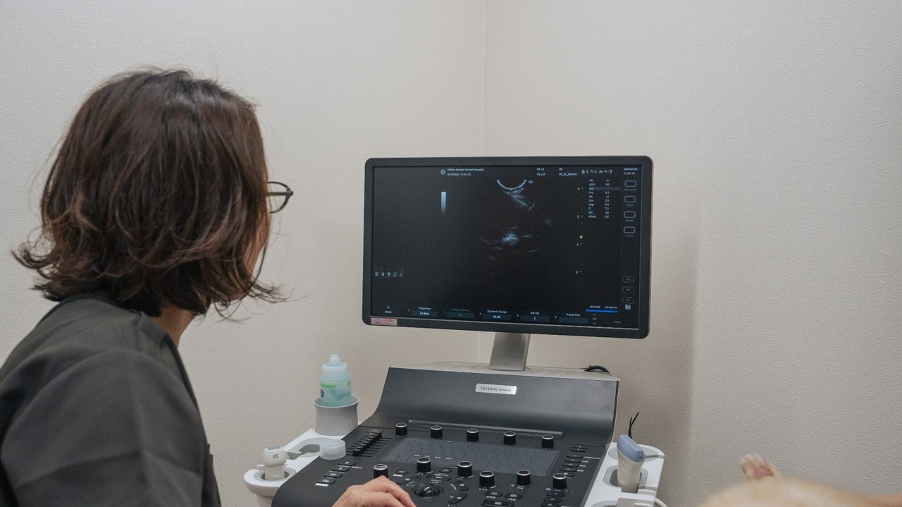 健康診断（定期健診）