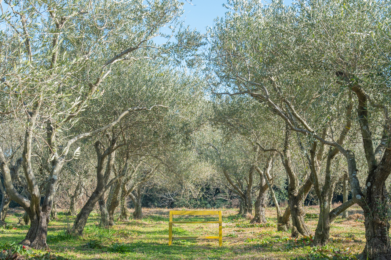 kamera!kamera!kamera! 写真館 2025 SPRING