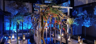 【特別企画】日本の伝統文化と伝説に触れる体験！怪談噺・琵琶弾奏の夕べ in 回向院　