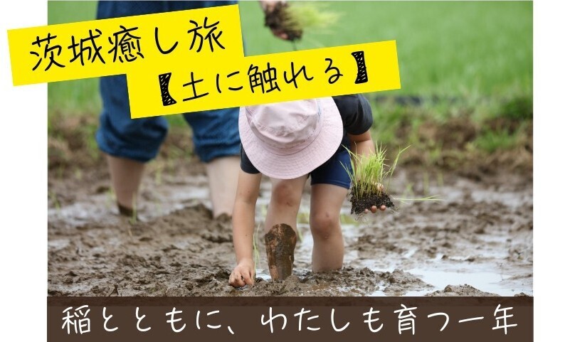 茨城癒し旅5/16・17🌾「稲とともに、わたしも育つ一年」