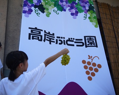 【2025年度は終了しました】【収穫体験】【ぶどう狩り】シャインマスカット限定