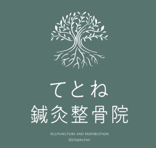 メインメニュー（SB共通）