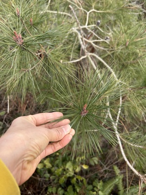 【レイビレッジ/Rebornリトリートツアー】運の強い人集まれ