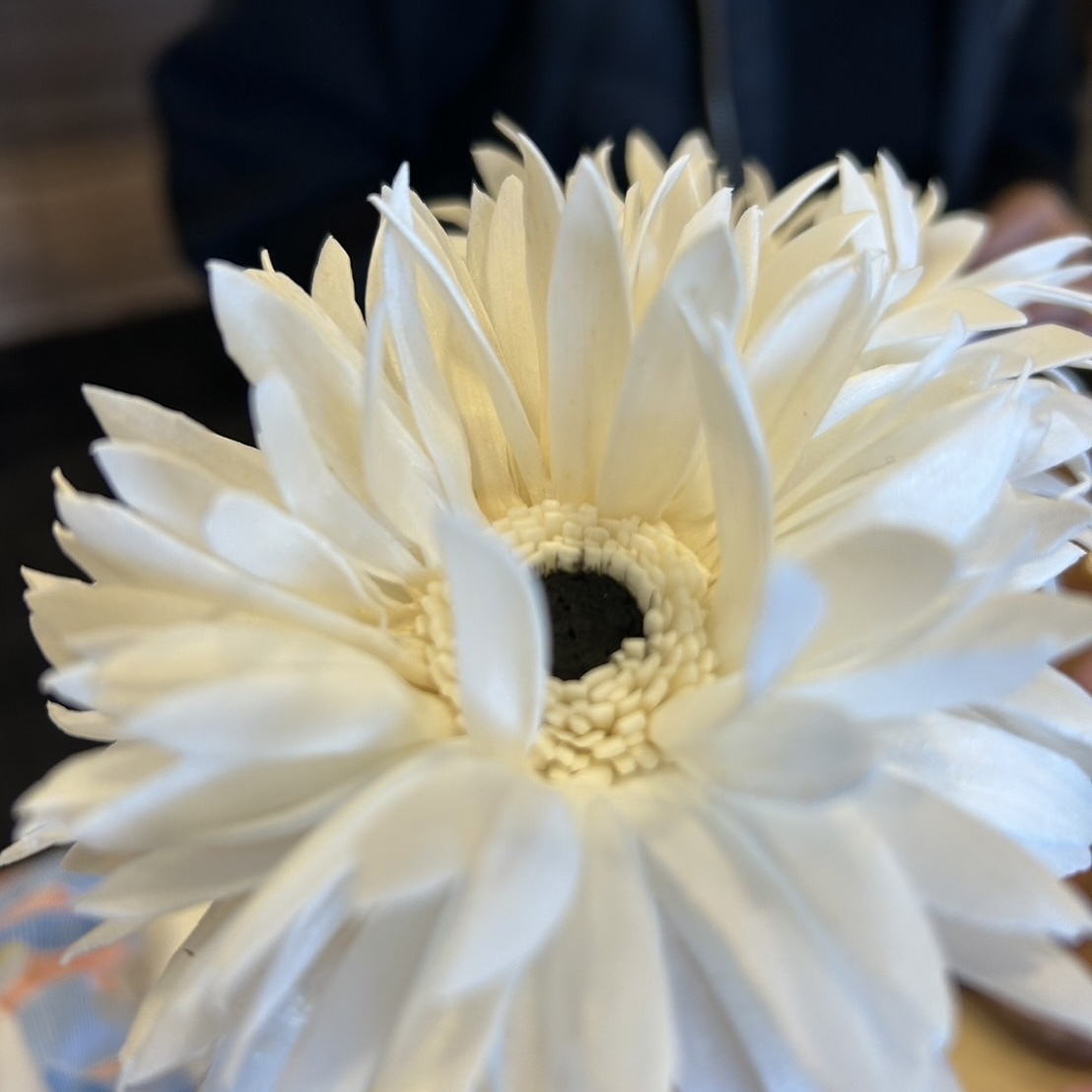 ソラフラワーWS 10/26 アロマドレッシングフェスタ