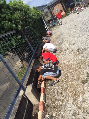 速読無料体験予約枠