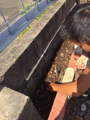 速読無料体験予約枠