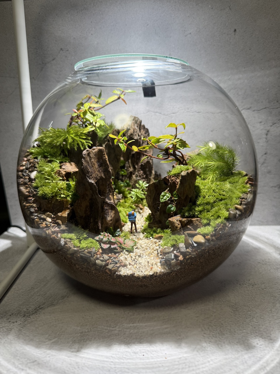 【予約制」12cmガラスボールに作る『渦守寺ー懸路（かけみち）ー』mini　ワークショップ「いなみ」