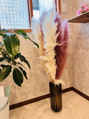 feél 骨格美整ヘッドスパ