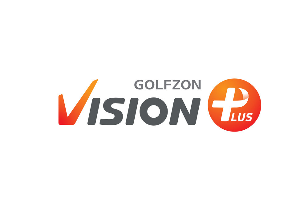 VISIONplus（左右打席）