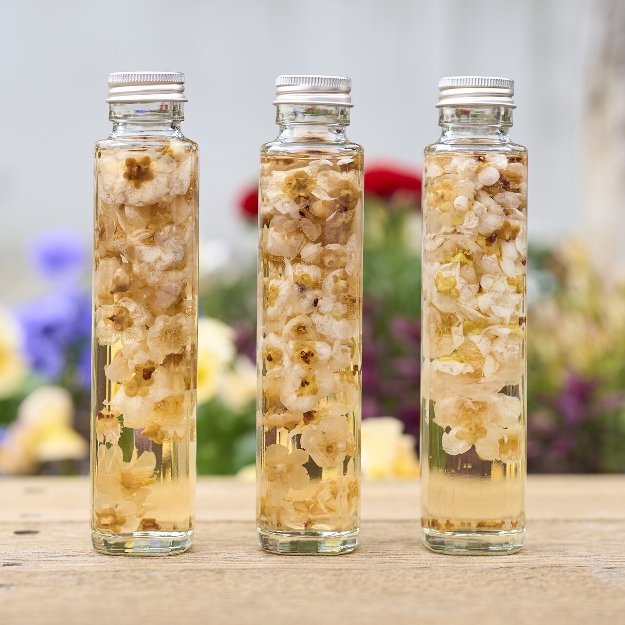 ＼3/1（日）梅まつり／梅のチンキづくり