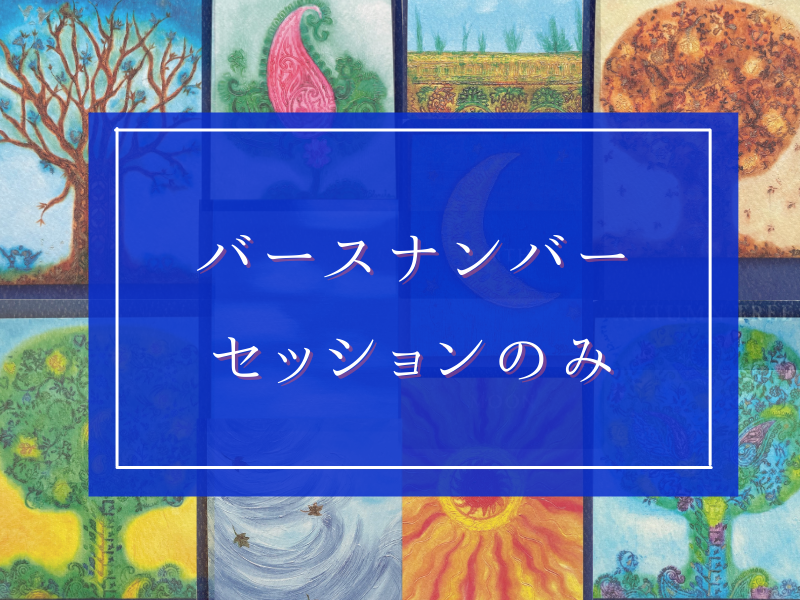 バースナンバーセッションのみ