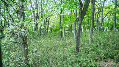 【土曜・休日前】宿泊予約フォーム