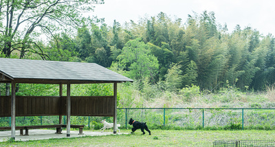 【土曜・休日前】宿泊予約フォーム