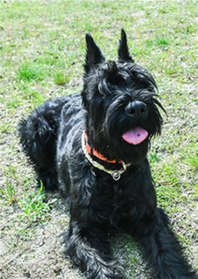 【土曜・休日前】宿泊予約フォーム