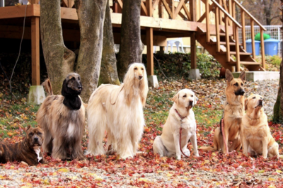 【土曜・休日前】宿泊予約フォーム