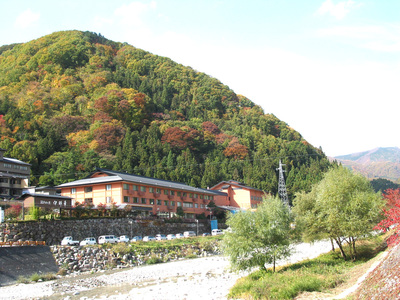 平日昼食バイキング
