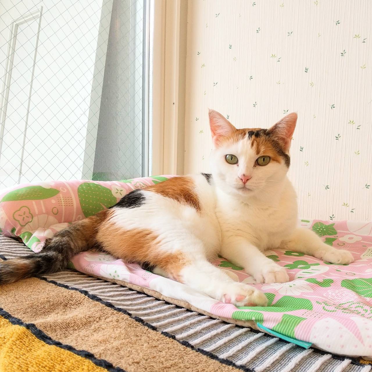 土曜日1時間ふれあいコース