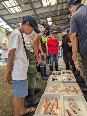 熱海魚市場：感動の「ふれる」体験！活気あふれるセリを見学
