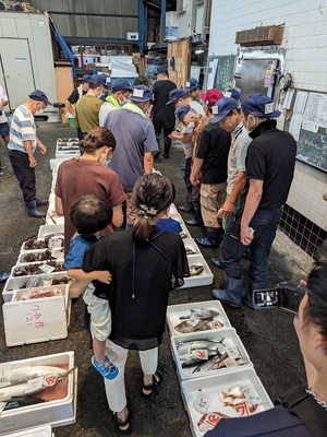 熱海魚市場：感動の「ふれる」体験！活気あふれるセリを見学