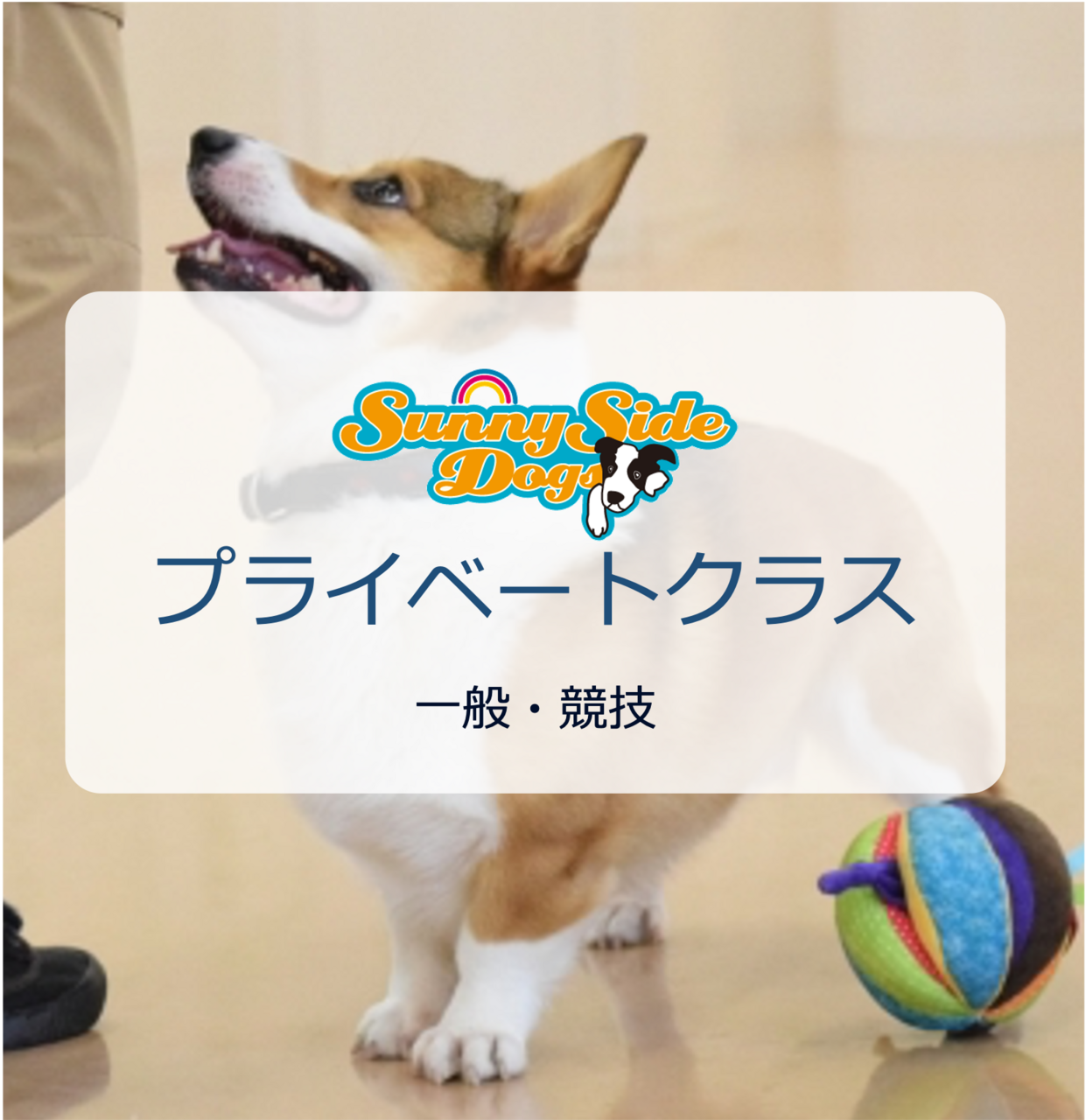 【担当：伊藤】基礎・競技トレーニング