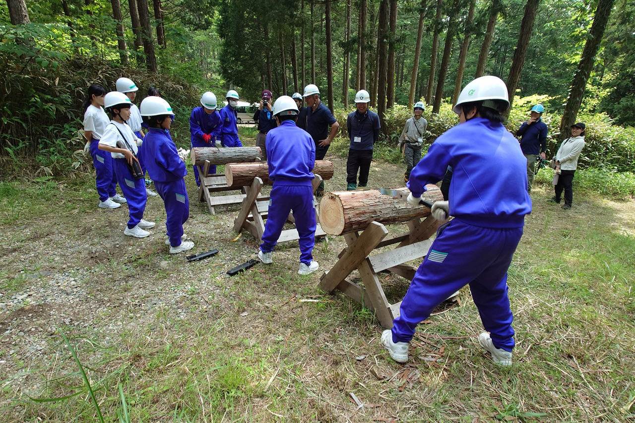 1/17(土) 見て聞いて、親子で森さんぽ 森のかけらでストラップづくり