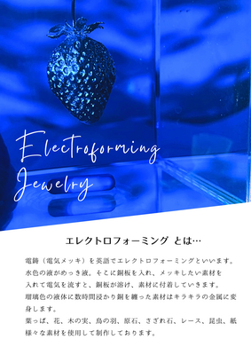 エレクトロフォーミング ワークショップ
