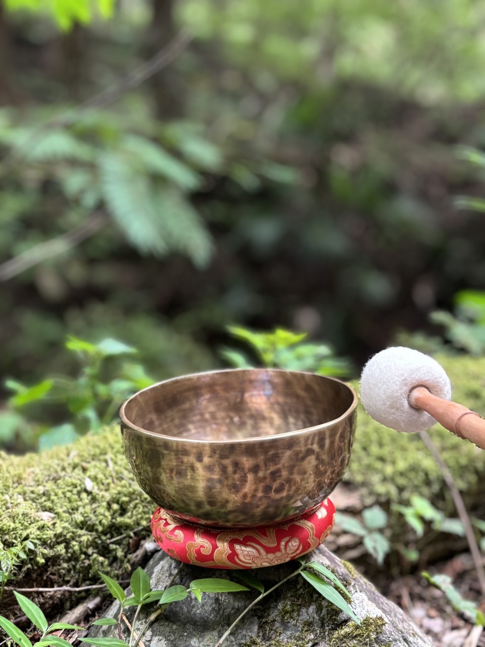 【日曜朝】冬から春ご褒美モーニング